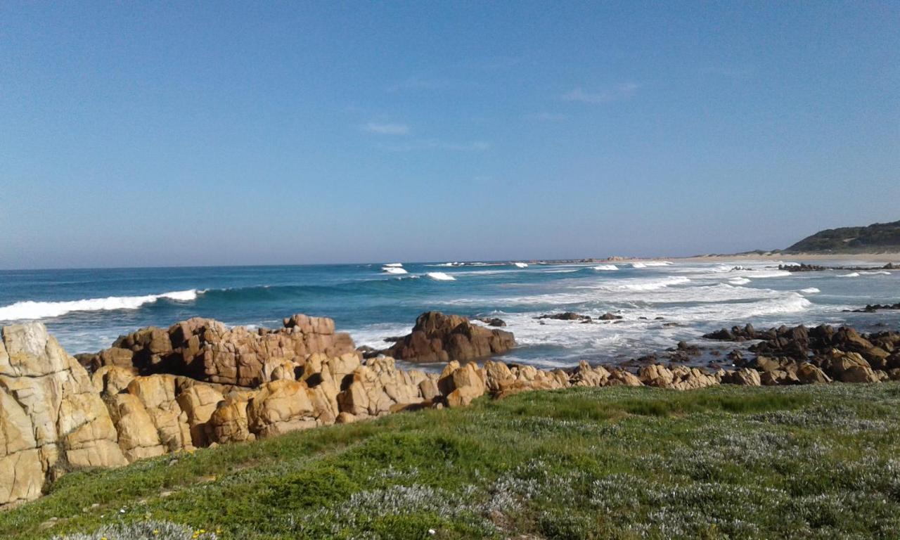 Blue Oyster Bed And Breakfast Knysna Exterior foto